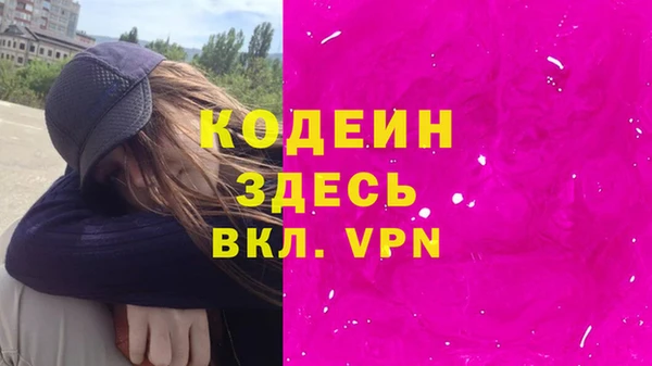 амф Вяземский