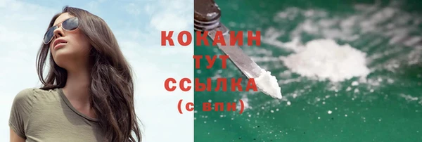 амф Вяземский