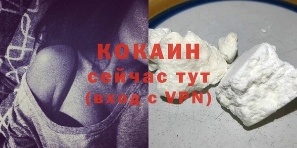 амф Вяземский
