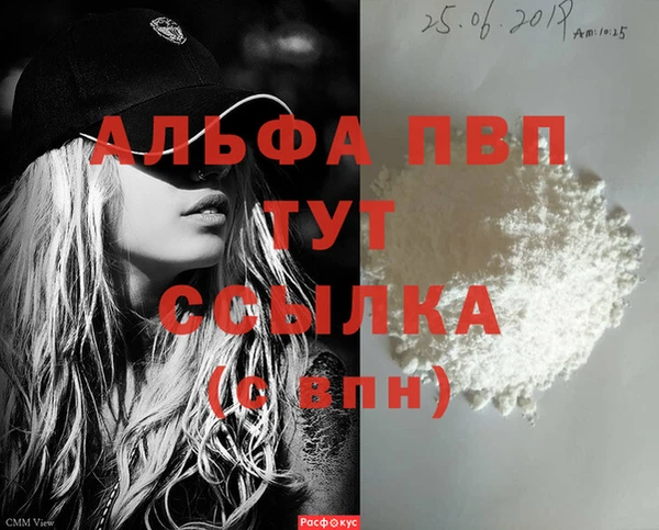 амф Вяземский