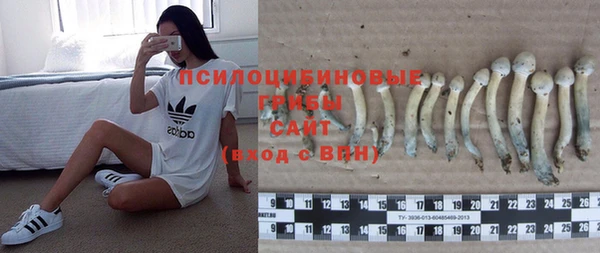 амф Вяземский