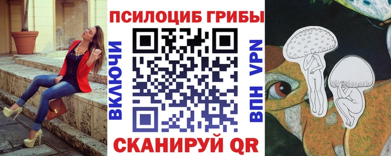 Псилоцибиновые грибы Psilocybe  Купить  Верхнеуральск 