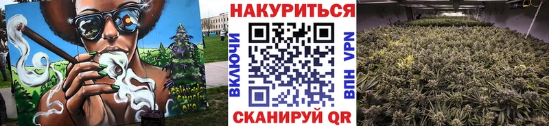 Купить  Верхнеуральск  Конопля VHQ 